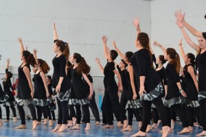 DSC 0241-1024x683                   